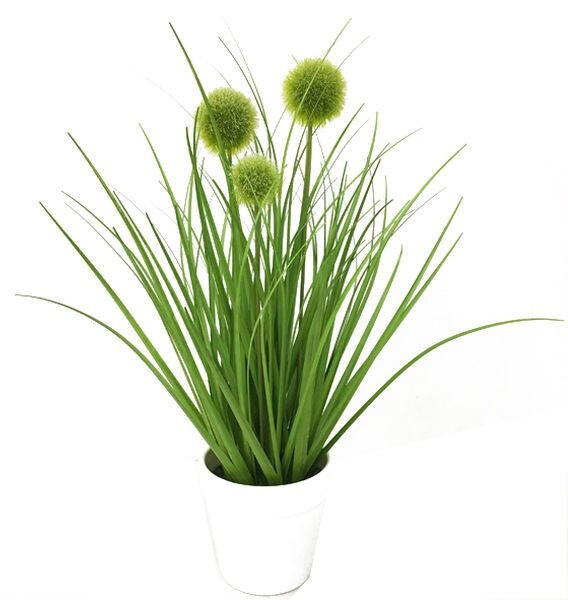 DEKORAČNÍ TRÁVA, 36 cm Ambia Home - Dekorační tráva