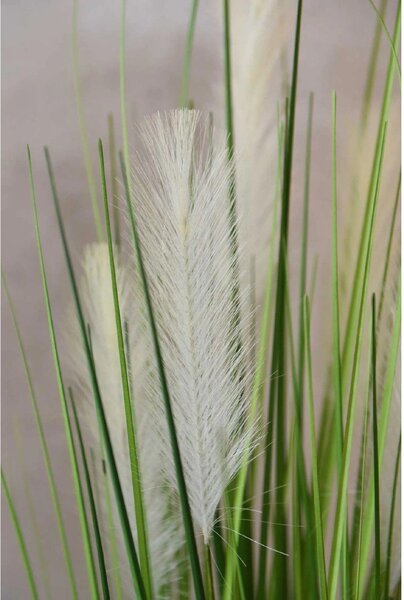 Umělá tráva PAMPAS, plast, výška 120 cm, zelená