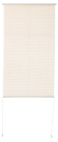 Livarno home Roleta na dveře, 80 x 200 cm (krémová) (100376619002)