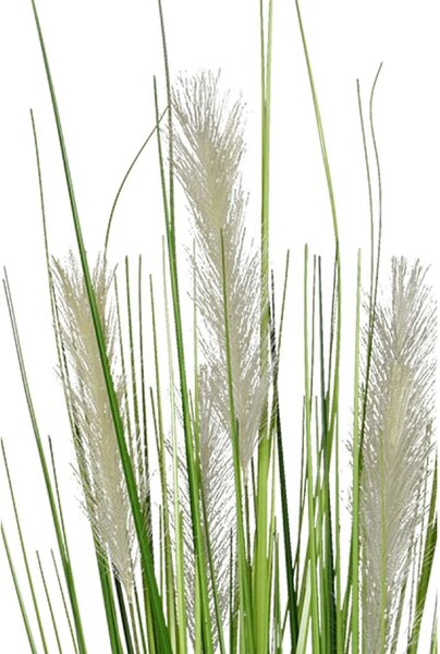 Umělá tráva PAMPAS, plast, výška 120 cm, zelená