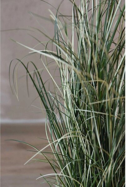 Umělá tráva v černém květináči GREVY, výška 85 cm, plast, zelená
