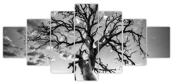 Obraz - Černobílý strom (210x100 cm)