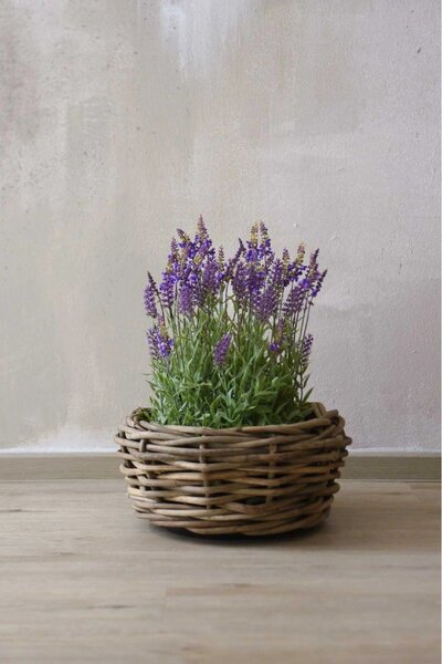 Přírodní květináč na rostliny BOJO, ratan, průměr 56 cm, natur