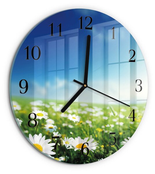 Skleněné nástěnné hodiny Louka zsoc-fi30-00178640