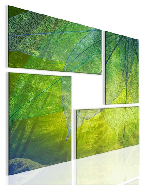 Malvis Obraz atypický obraz les Velikost: 80x80 cm