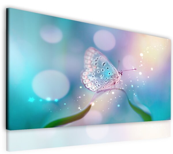 Malvis Obraz motýl Velikost: 60x40 cm