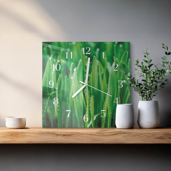 Skleněné hodiny Zelená tráva zskb-30x30-00091817