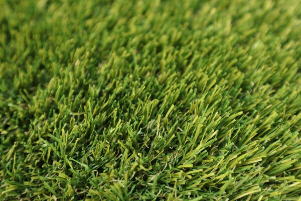 Europe Grass, Metrážní umělá tráva Rosalia, vyříznout kruh, šíře 4m, zelená