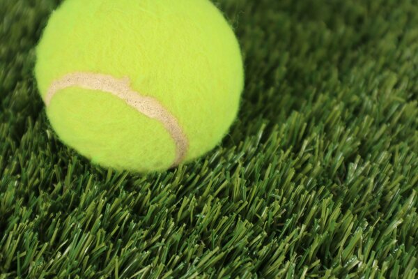 Europe Grass, Metrážní umělá tráva Rosalia, vyříznout kruh, šíře 4m, zelená