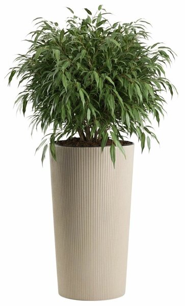 PLASTOVÝ KVĚTINÁČ URBANIKA ECO 57X29,5 CM LATTE