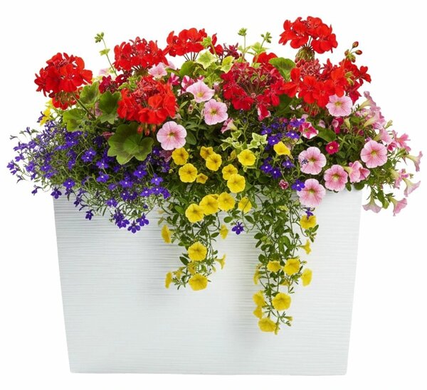 PLASTOVÝ KVĚTINÁČ BLOOM RIFLO 36X56X20 CM BÍLÁ