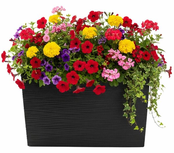 PLASTOVÝ KVĚTINÁČ BLOOM RIFLO 36X56X20 CM ČERNÁ