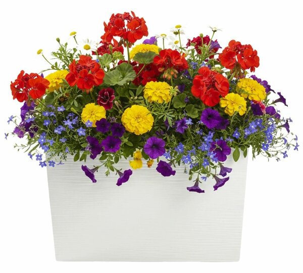 PLASTOVÝ KVĚTINÁČ BLOOM RIFLO 36X56X20 CM KRÉMOVÁ