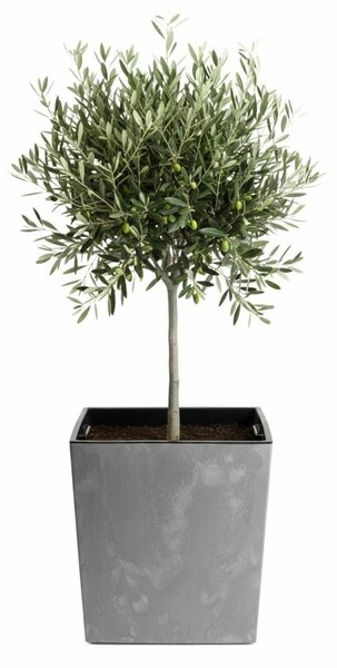 PLASTOVÝ KVĚTINÁČ FLORE 41X39,5X39,5 CM IMITACE BETONU ŠEDÁ