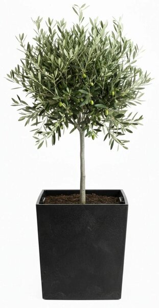 PLASTOVÝ KVĚTINÁČ FLORE 41X39,5X39,5 CM IMITACE BETONU ČERNÁ
