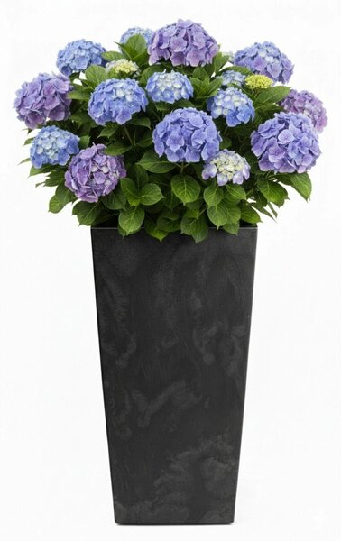 PLASTOVÝ KVĚTINÁČ PORTO 75X39,5X39,5 CM IMITACE BETONU ČERNÁ