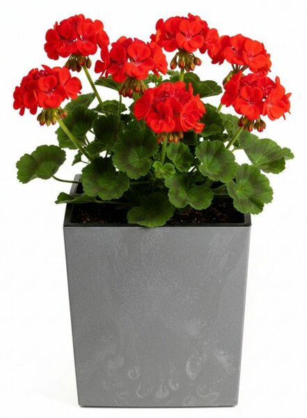 PLASTOVÝ KVĚTINÁČ FLORE 30,5X29,5X29,5 CM IMITACE BETONU ŠEDÁ