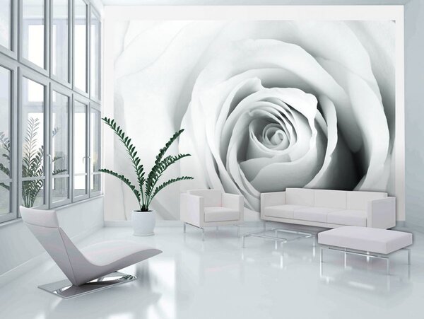 Murando DeLuxe Tapeta bílá růže Rozměry (š x v) a Typ: 147x105 cm - samolepící
