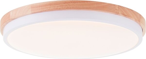 Brilliant - LED Stm stropní svítidlo BAARLO LED/24W/230V pr. 35 cm bílá