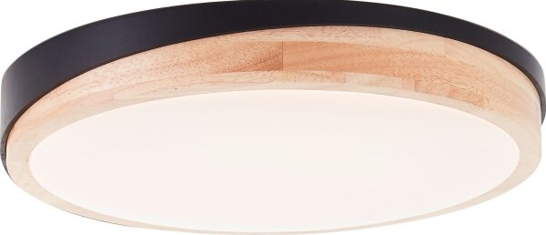 Brilliant - LED Stm stropní svítidlo BAARLO LED/24W/230V pr. 35 cm černá