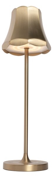 Souprava 2 retro stolních lamp růžové zlato dobíjecí IP44 - Granny
