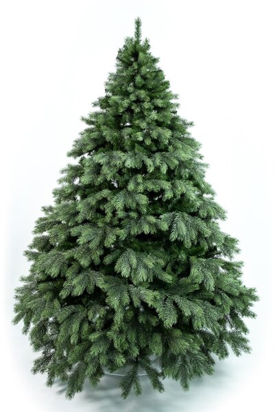 Borovice Aurora široká 3D- 170cm