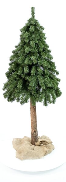 Vánoční stromek - Smrk přírodní na dřevě 70 cm
