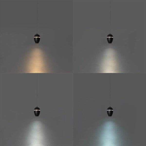 Moderní černé závěsné svítidlo pro 1fázový kolejnicový systém včetně LED - Magnetic Eggy