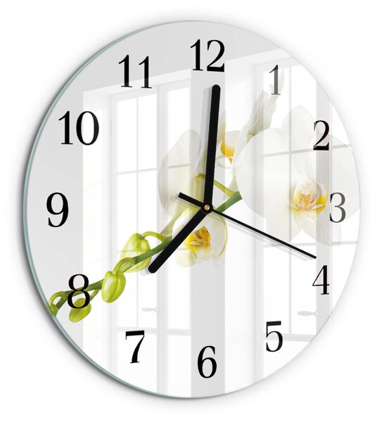 Skleněné nástěnné hodiny Orchidej zsoc-fi30-00178418