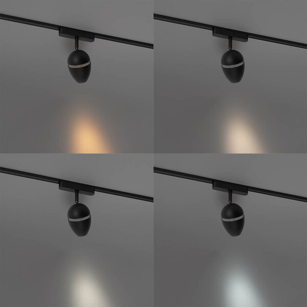Moderní černé bodové svítidlo pro jednofázový kolejnicový systém včetně LED - Magnetic Eggy