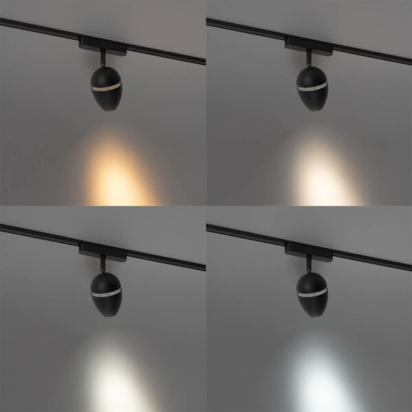 Moderní černé bodové svítidlo pro jednofázový kolejnicový systém včetně LED - Magnetic Eggy