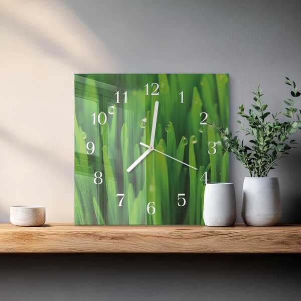 Skleněné hodiny Tráva zskb-30x30-00086811