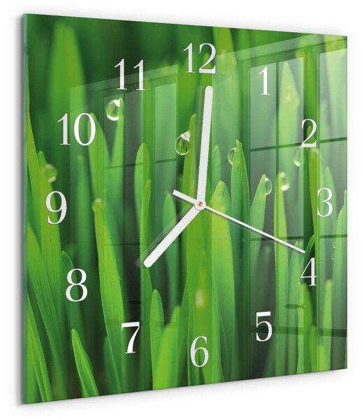 Skleněné hodiny Tráva zskb-30x30-00086811