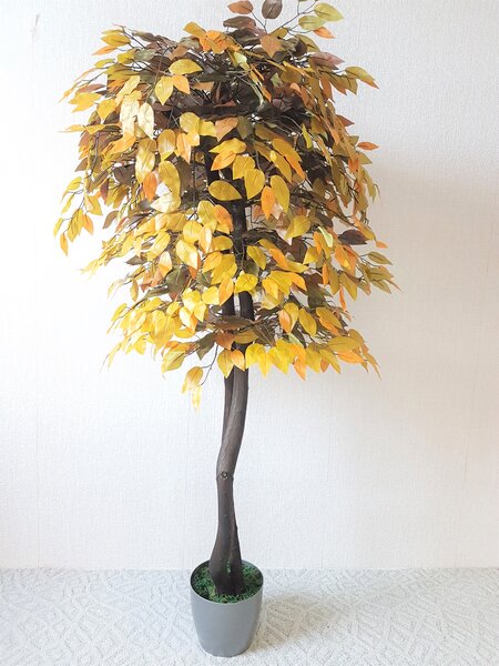 ArtTree s.r.o. Fíkus podzimní - 160cm