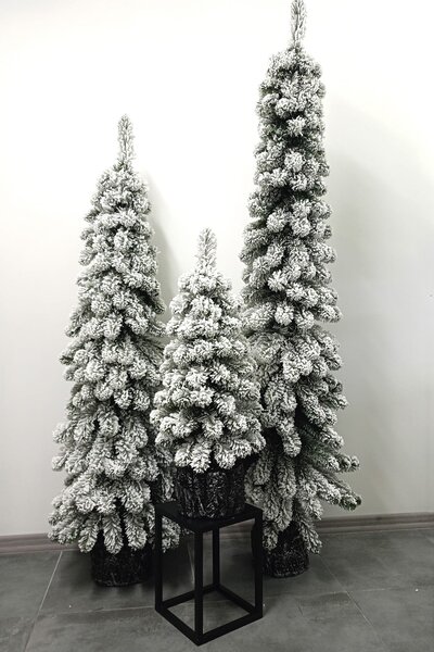 Zasněžený vánoční stromeček- Smrk Amélia v květináči 80cm