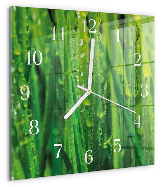 Skleněné hodiny Tráva zskb-30x30-00086535