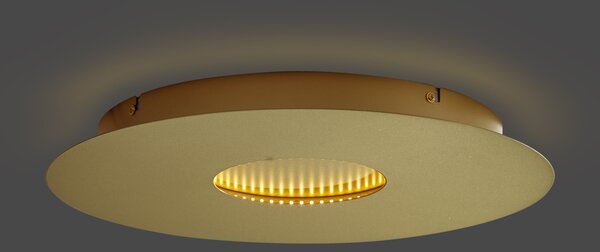 Moderní stropní svítidlo zlaté 40 cm vč. LED s 3-stupňovým stmíváním - Morning