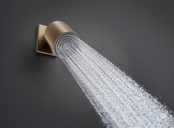 Hansgrohe Pulsify S hlavová sprcha 10.5x10.5 cm kulatý || 24130140