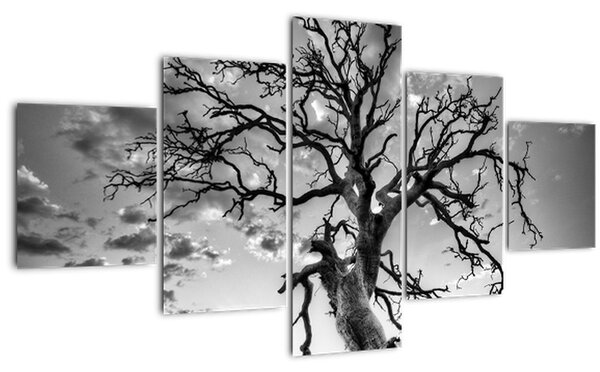 Obraz - Černobílý strom (125x70 cm)