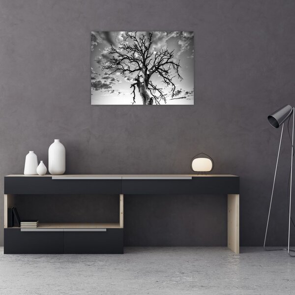 Obraz - Černobílý strom (70x50 cm)