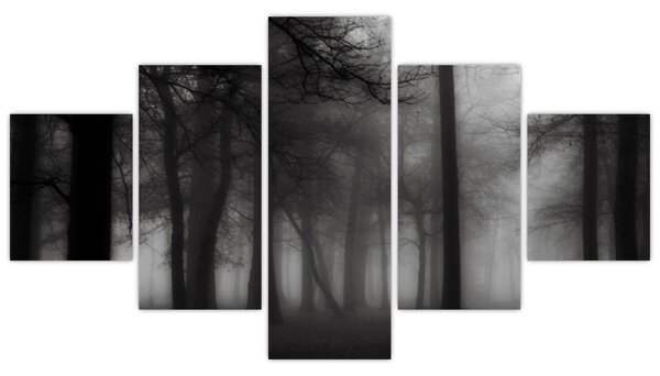 Obraz - Les v mlze (125x70 cm)