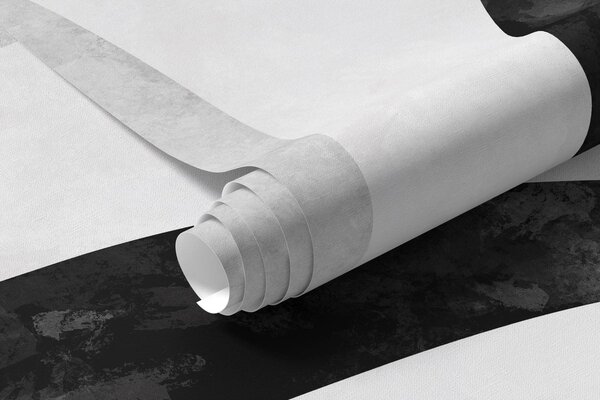 Fototapety Abstraktní vlnící se linie v monochromatických odstínech, Fototapety abstraktní, w05699 : uwalls.cz