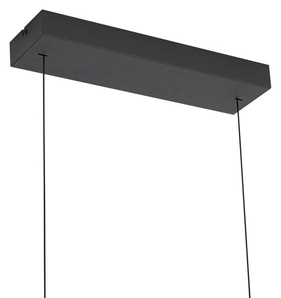 Moderní závěsné svítidlo černé s kouřovým sklem vč. LED Easylift - Catch