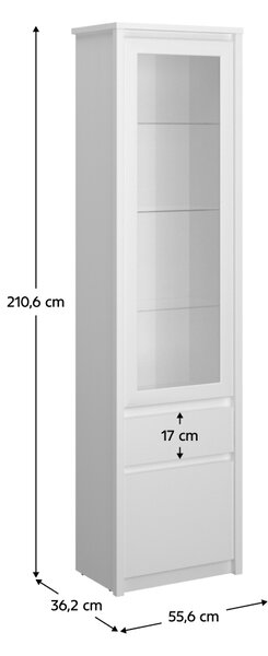 KONDELA Vitrína 1D1W1S, bílá, ERODIN