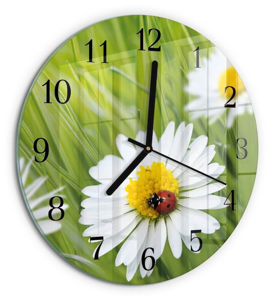 Skleněné nástěnné hodiny Sedmikrásky zsoc-fi30-00172976