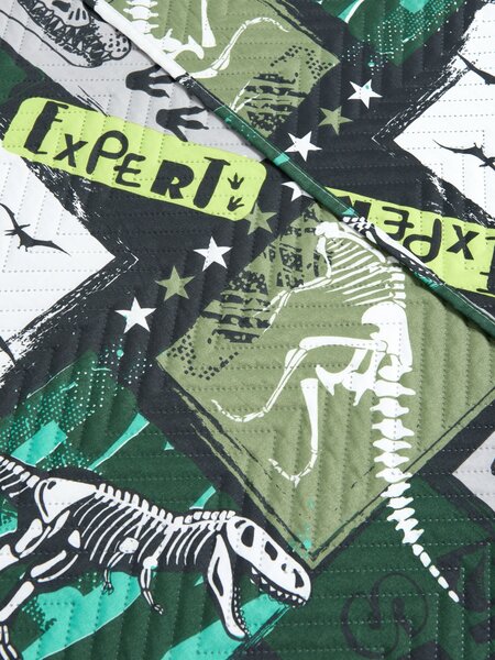 Sinsay - Quilted bedspread with dinosaur motif - vícebarevná