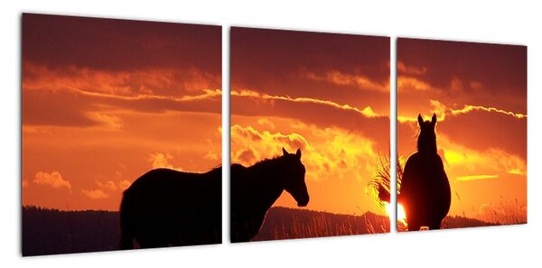 Obraz - koně při západu slunce (90x30cm)