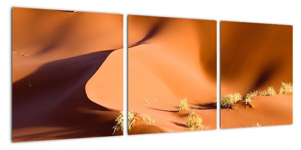 Obraz pouštích dun (90x30cm)