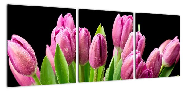 Obraz tulipánů (90x30cm)