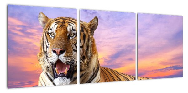 Obraz ležícího tygra (90x30cm)